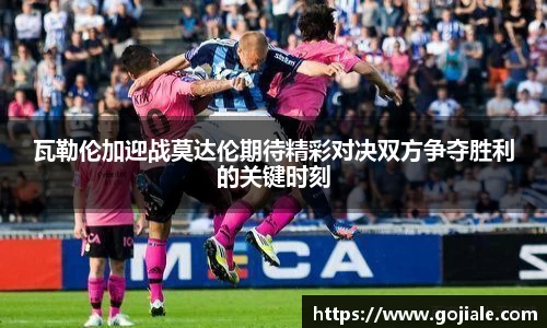 快盈VIII
